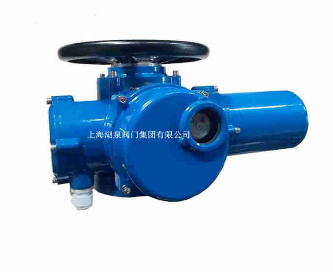 【技术速递】电动闸阀执行器DZW30-24产品使用说明书