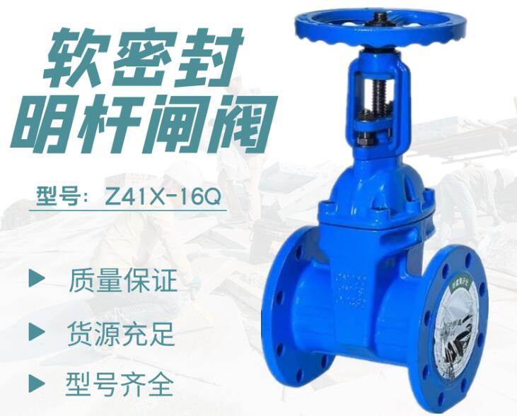 【技术速递】软密封闸阀和硬密封闸阀的区别是什么，图片能看出来吗